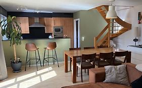 Duplex appartement Dujardin